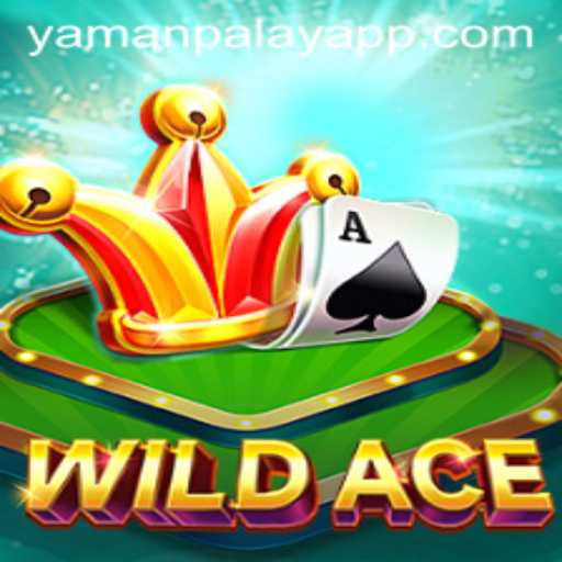 Discover WildAce: The Thrilling New Card Game by YamanPlay